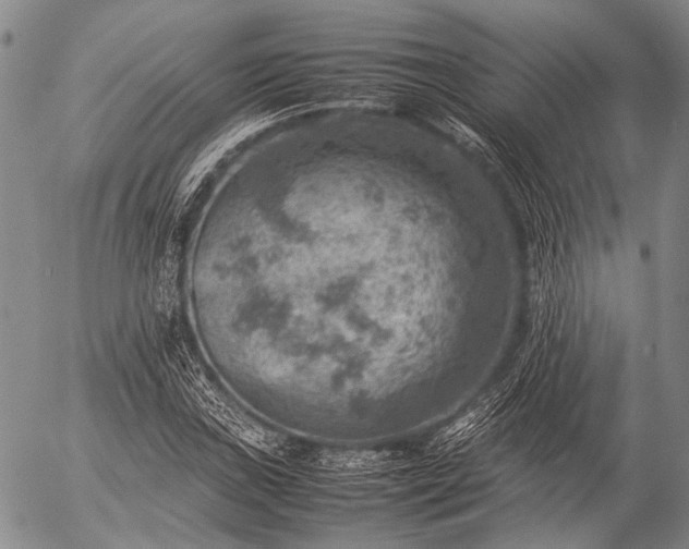 X0000057081019200509161558