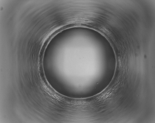 X0000057081020200509161558