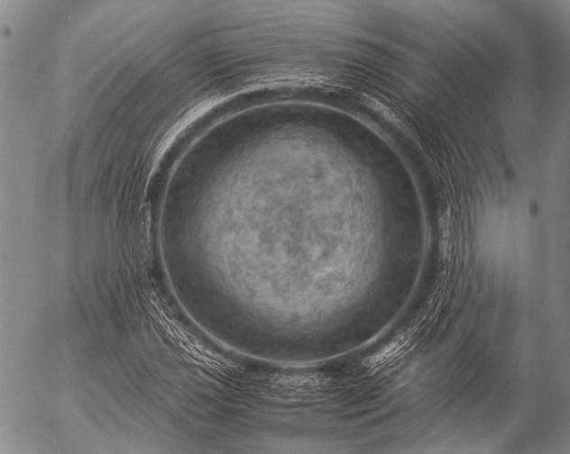 X0000057081021200509161558