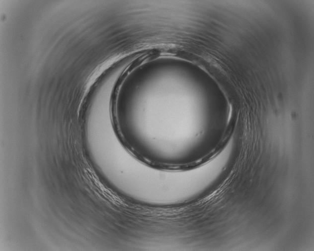 X0000057081022200509161559