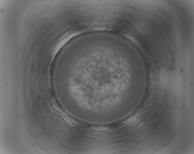 X0000057081023200509161559