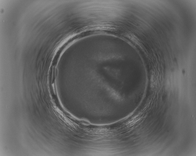 X0000057081024200509161559