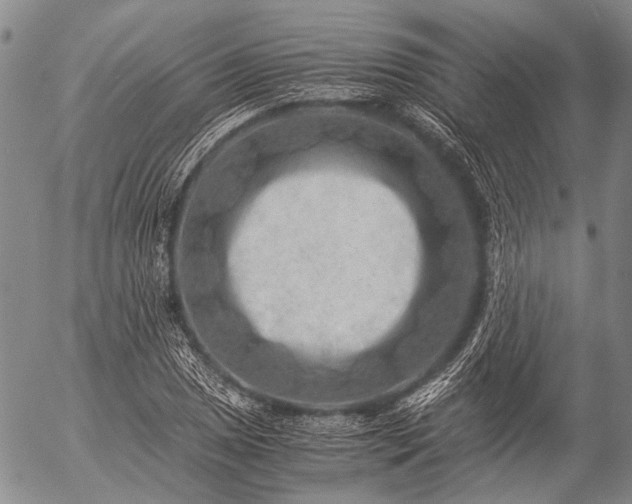 X0000057081025200509161559