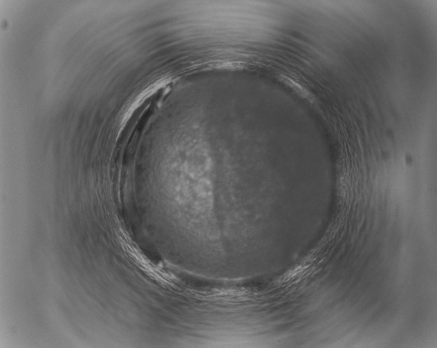 X0000057081026200509161559