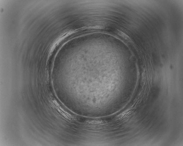 X0000057081027200509161559