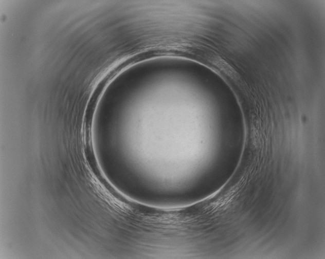 X0000057081028200509161559