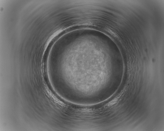 X0000057081029200509161559