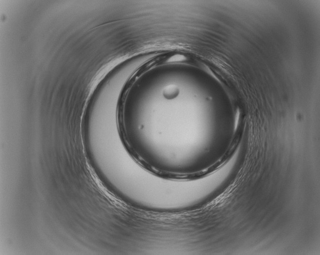 X0000057081030200509161559