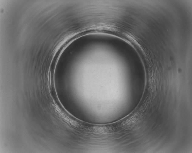 X0000057081032200509161559