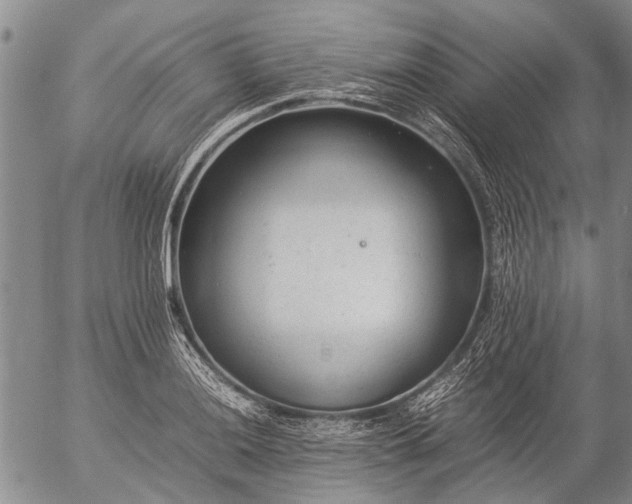 X0000057081036200509161559