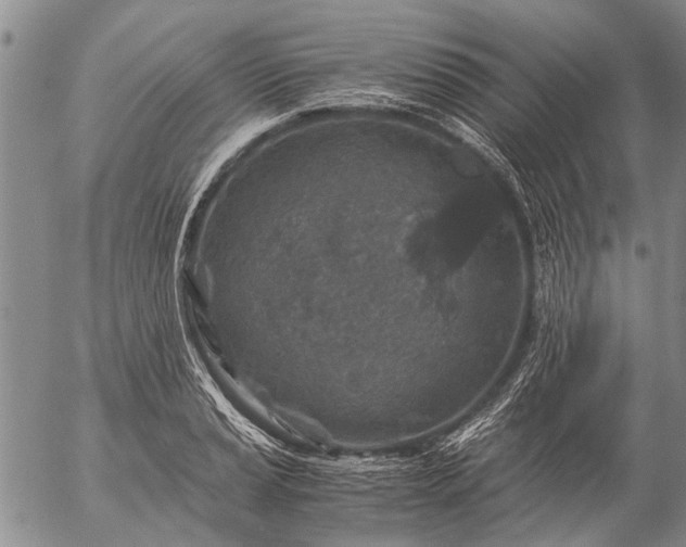 X0000057081037200509161559