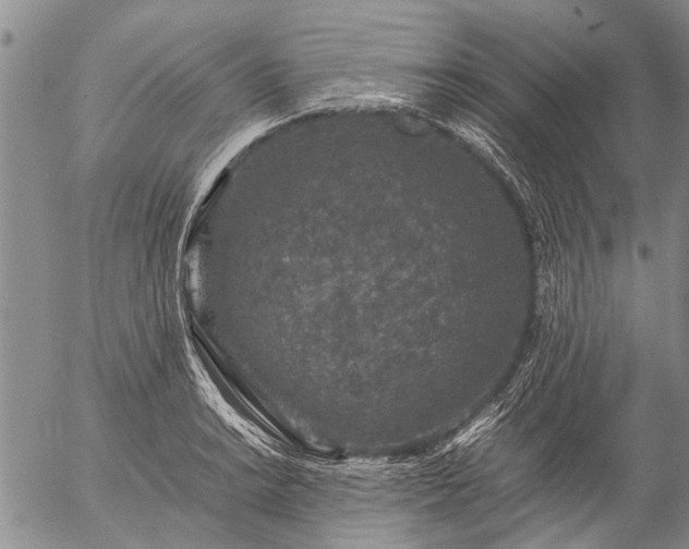 X0000057081038200509161559