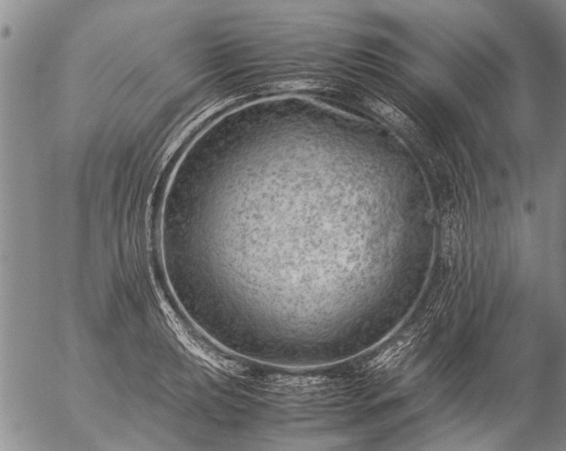 X0000057081039200509161559