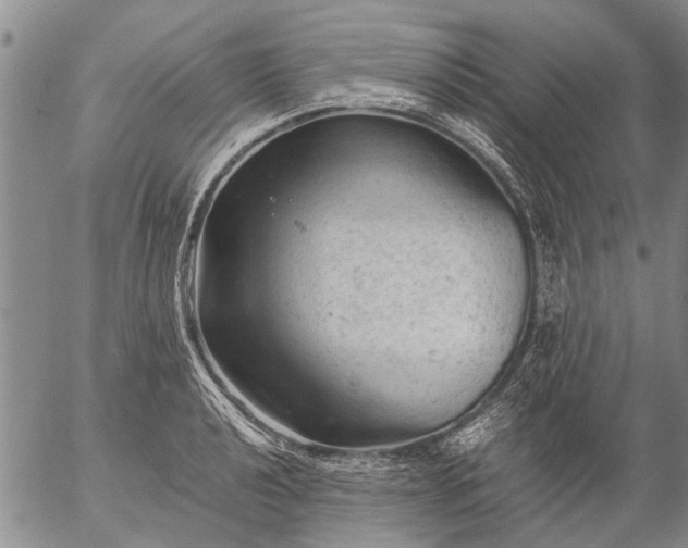 X0000057081040200509161559