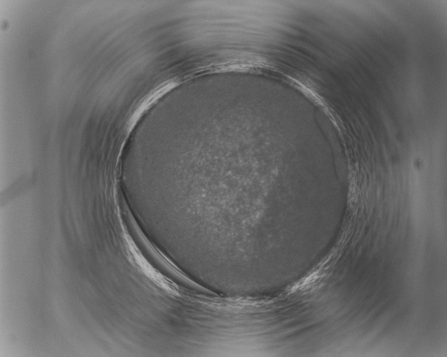 X0000057081042200509161559