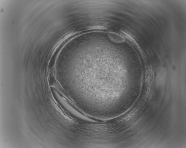 X0000057081043200509161559