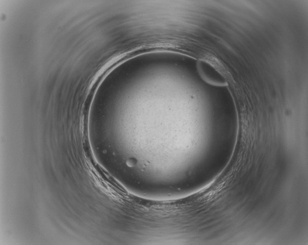 X0000057081044200509161559