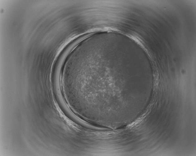 X0000057081046200509161559