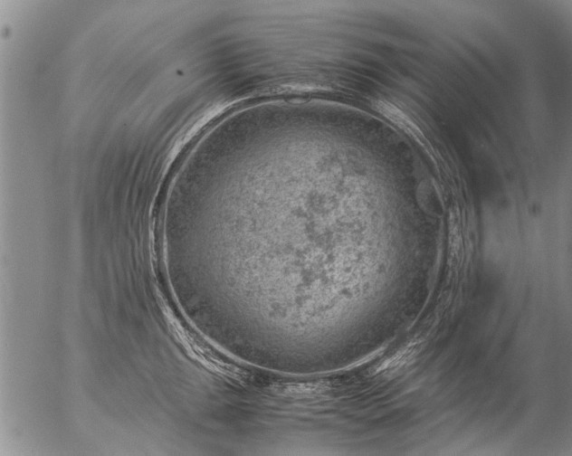 X0000057081047200509161559