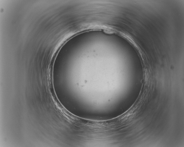 X0000057081048200509161559