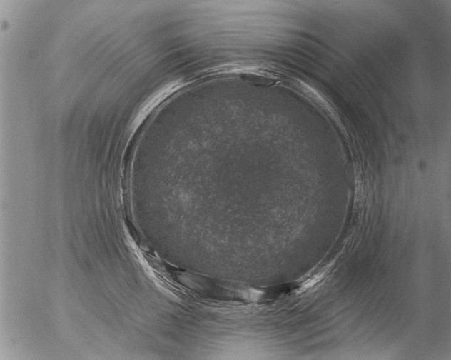 X0000057081050200509161559