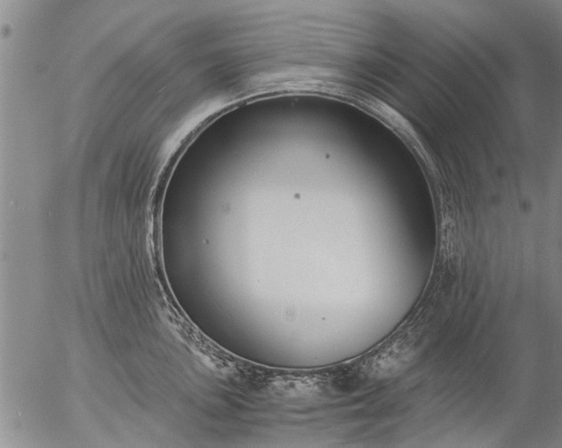 X0000057081051200509161559