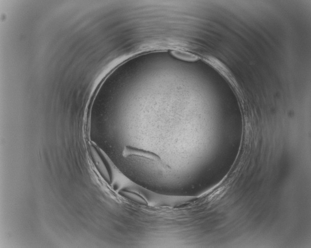 X0000057081052200509161559