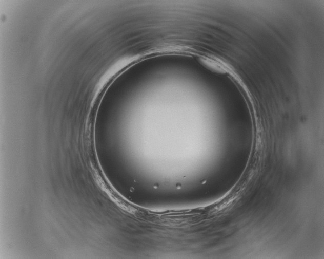 X0000057081053200509161559