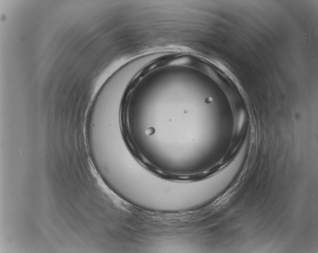 X0000057081054200509161559