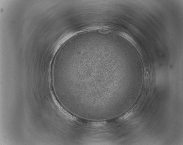 X0000057081055200509161559