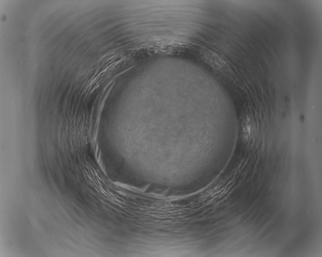 X0000057081060200509161558