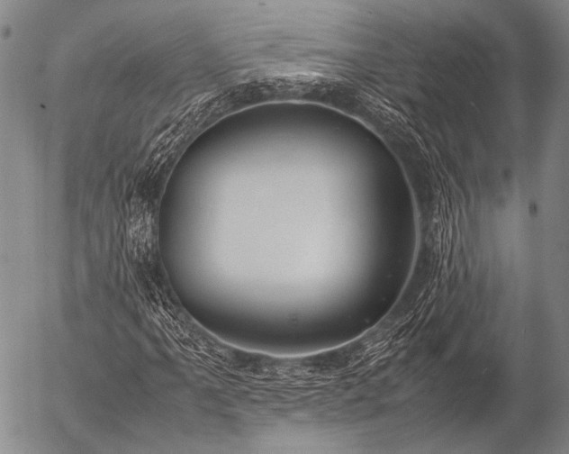 X0000057081061200509161558