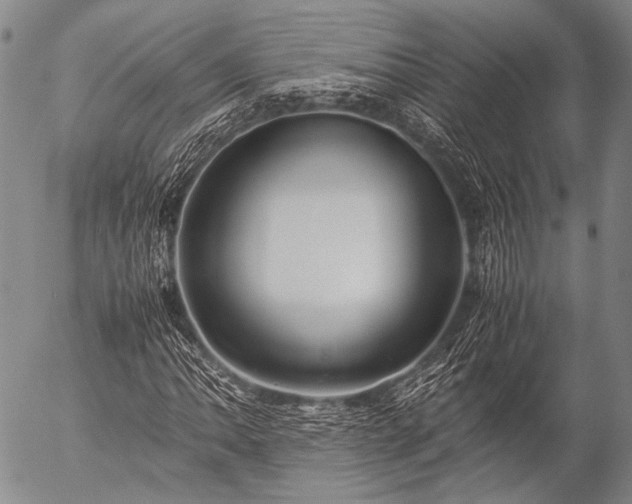 X0000057081062200509161558