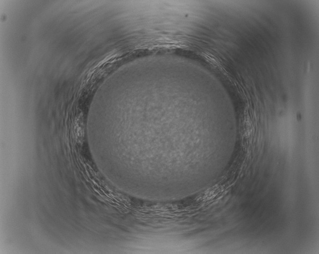 X0000057081063200509161558