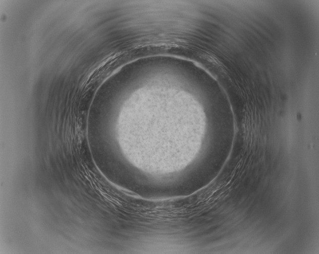 X0000057081064200509161558