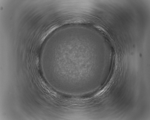 X0000057081065200509161558