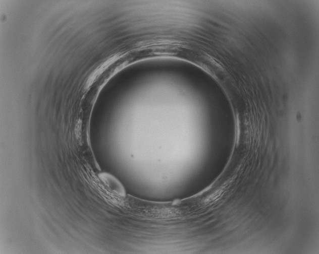 X0000057081066200509161558