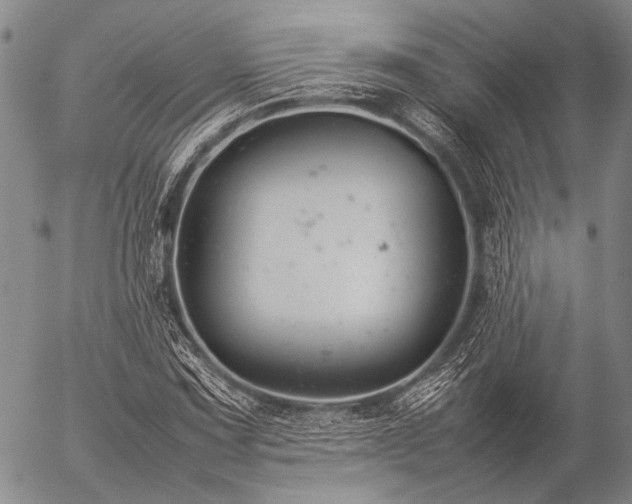 X0000057081067200509161558