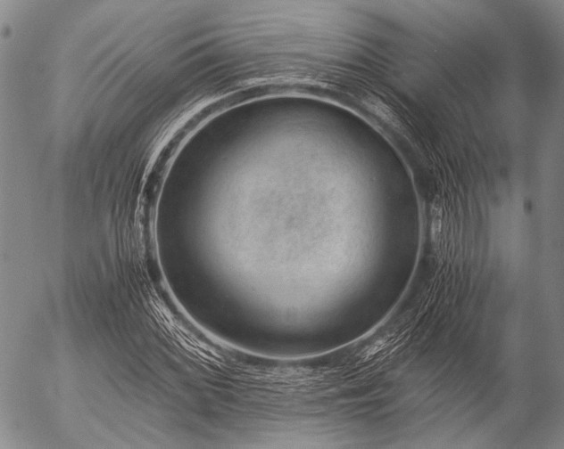 X0000057081068200509161558