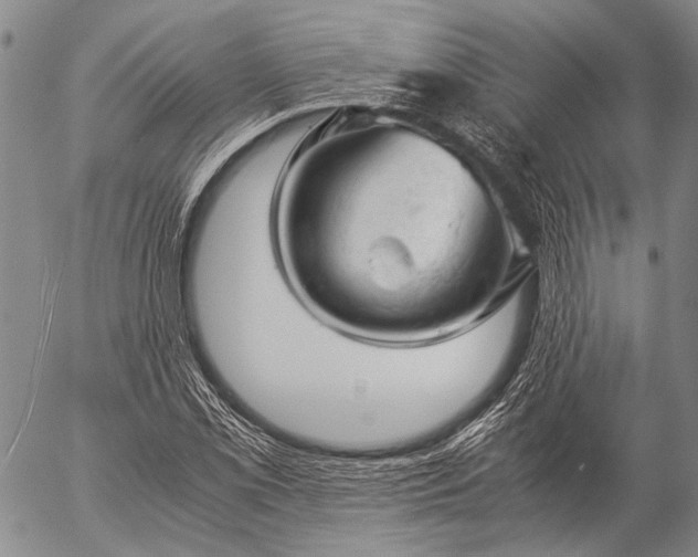 X0000057081069200509161558