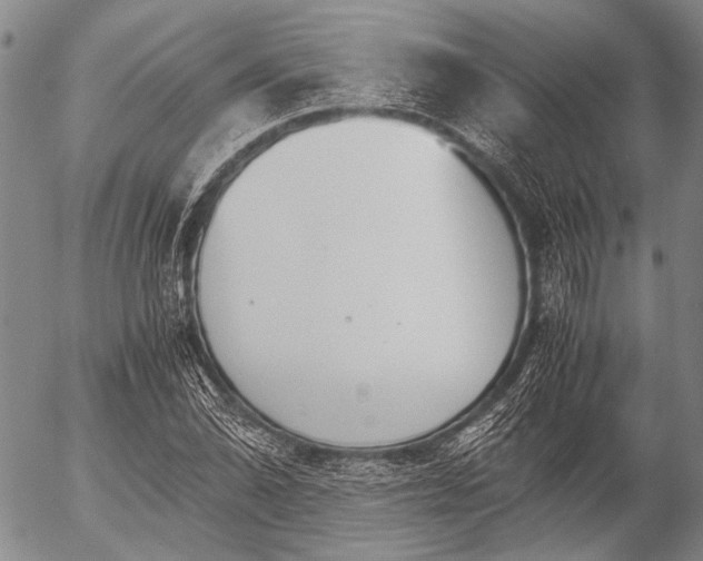 X0000057081070200509161558