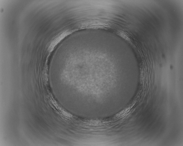 X0000057081071200509161558