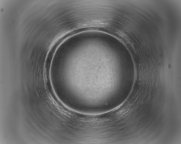 X0000057081072200509161558