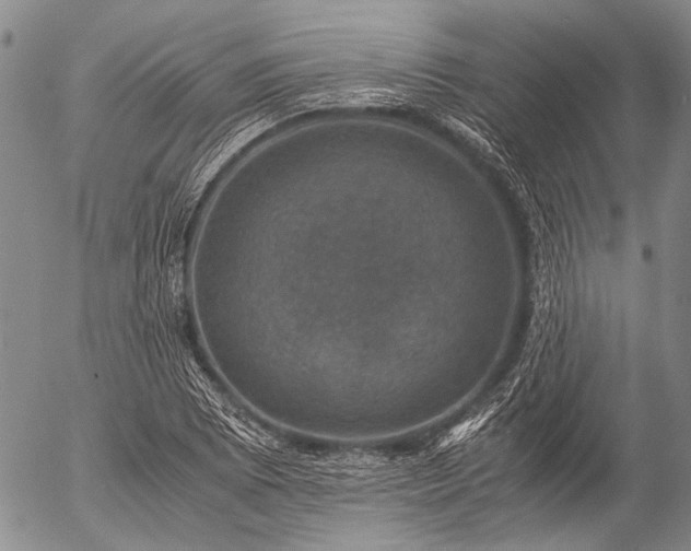 X0000057081073200509161558