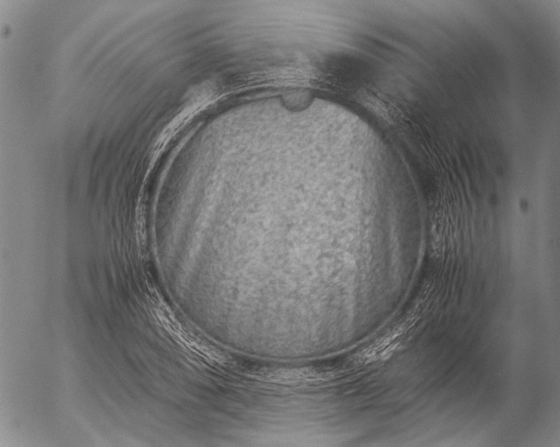 X0000057081074200509161558