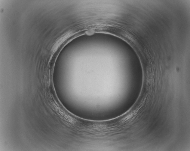 X0000057081075200509161558