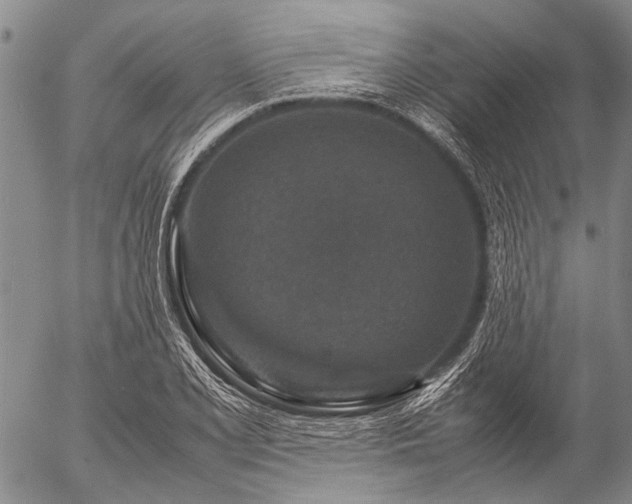 X0000057081077200509161558