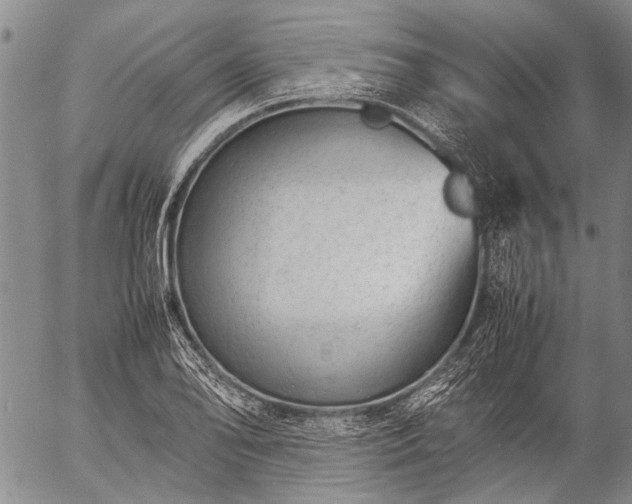 X0000057081078200509161558