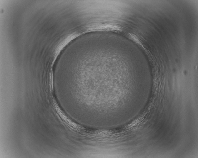 X0000057081079200509161558