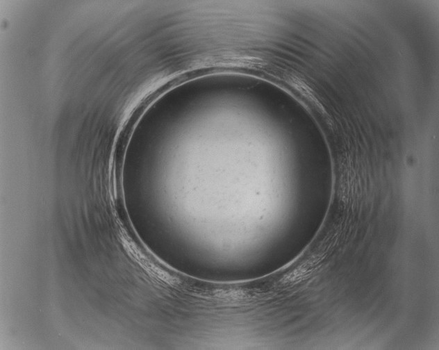 X0000057081080200509161558